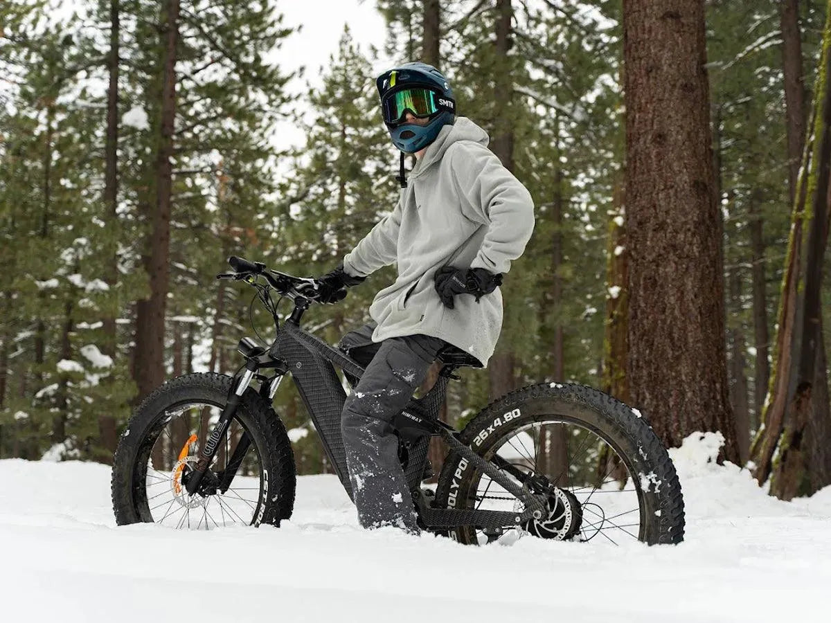 Himiway D7 Electric Hunting Bike